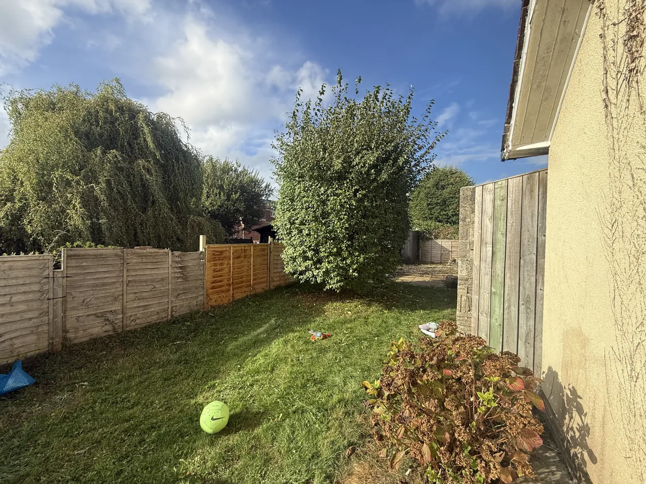 Rose Lane, TA18, photo 9