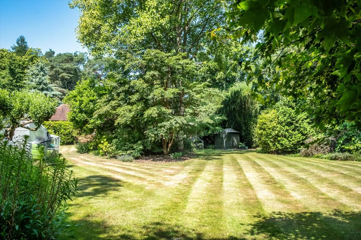Old Bury Hill, Westcott, RH4, photo 29