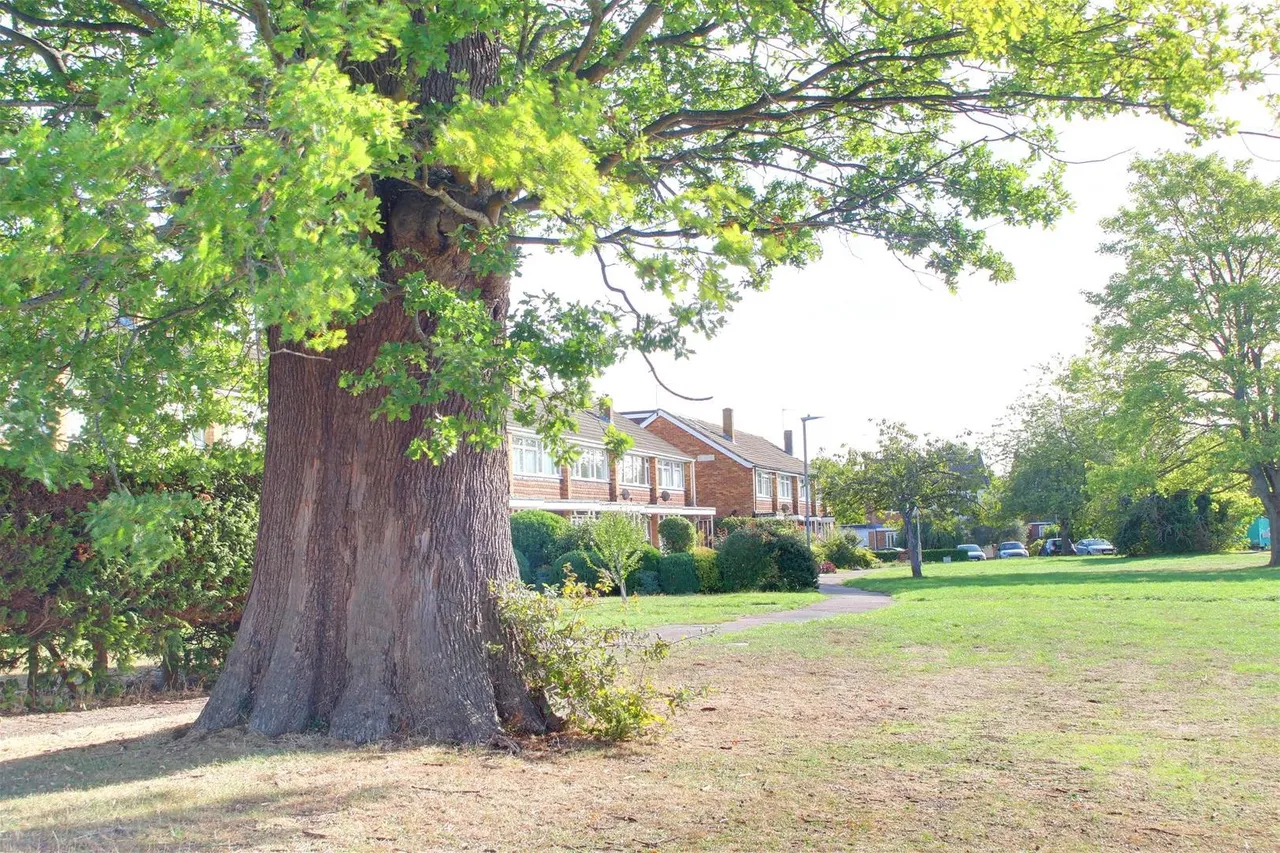 Fayerfield, Potters Bar, EN6, photo 15