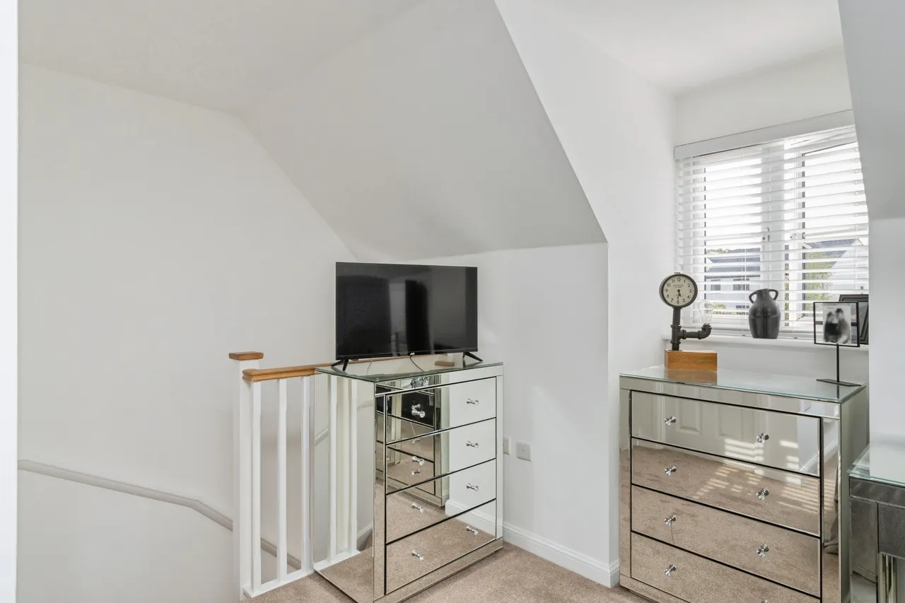 Mimosa Way, Paignton, TQ4, photo 13
