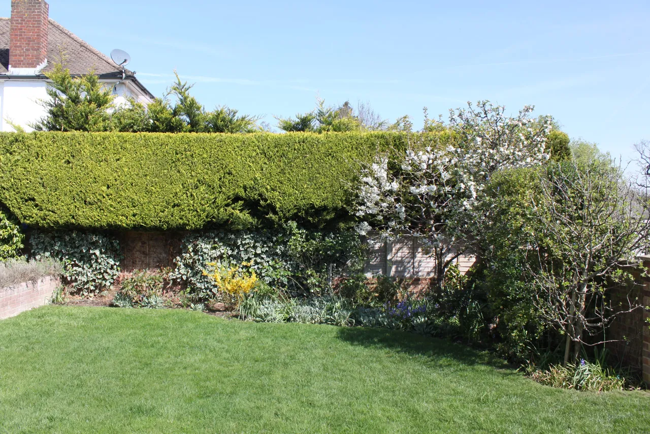 Broadfields, East Molesey, KT8, photo 23
