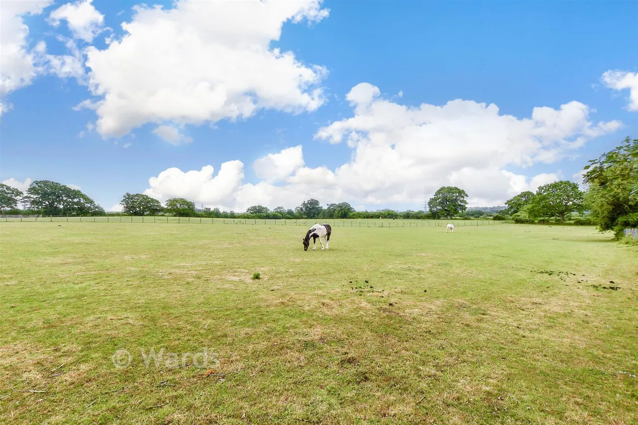 Tenterden Road, Appledore, TN26, photo 14
