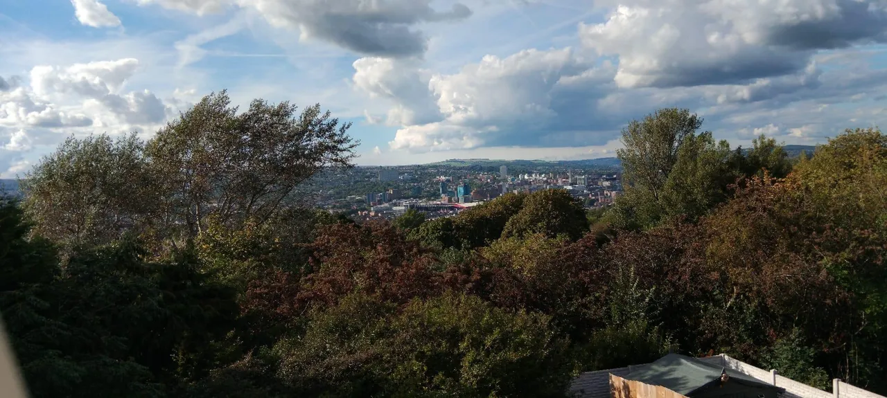 Eastern Crescent, Sheffield, S2, photo 9