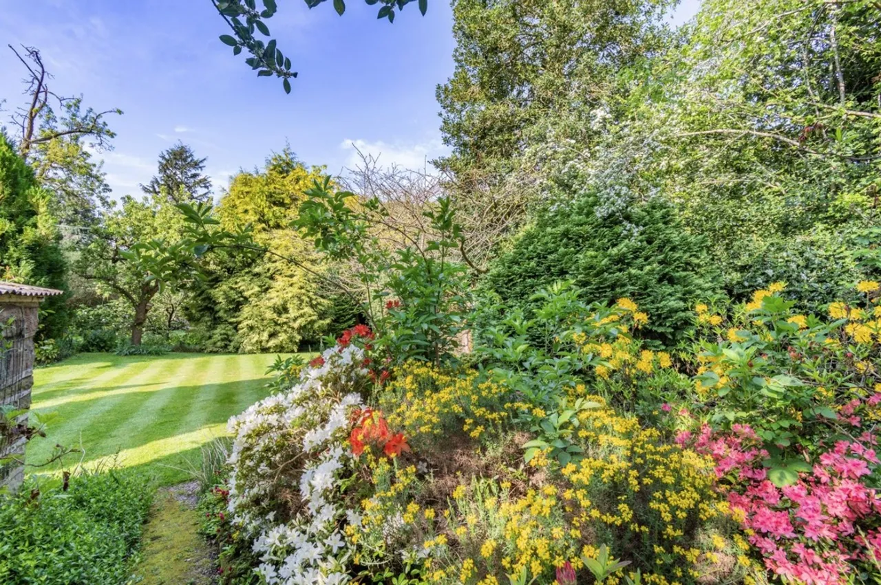Kelsall, Tarporley, photo 30