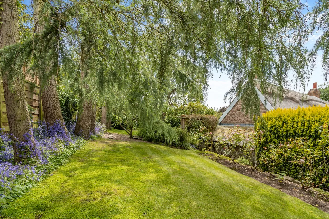Kelsall, Tarporley, photo 21