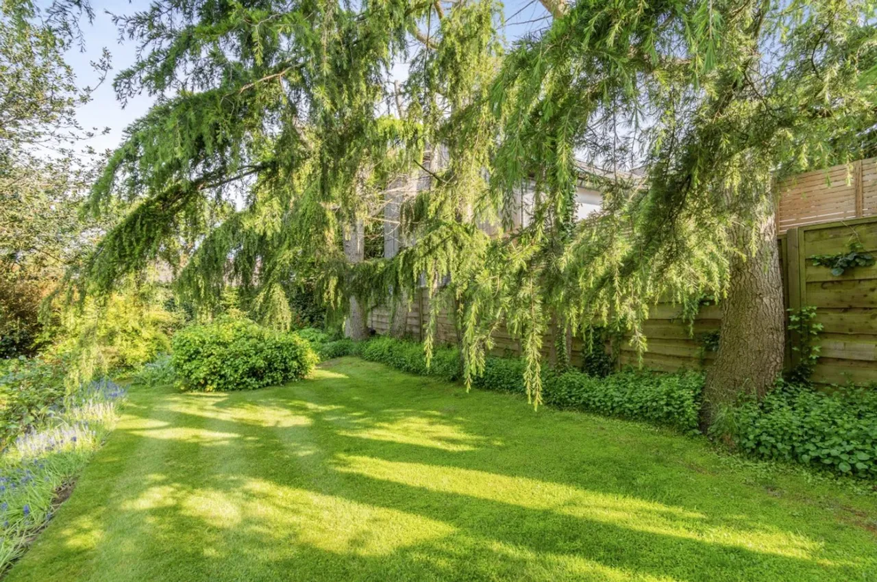 Kelsall, Tarporley, photo 29