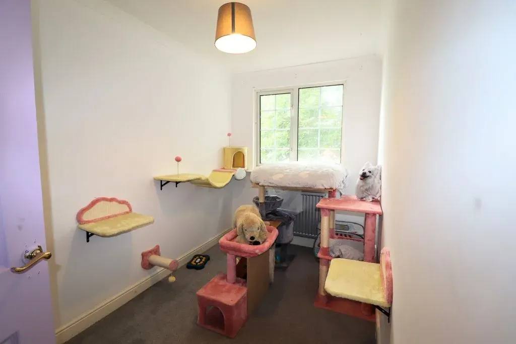 Thirlmere Avenue, Bletchley, Milton Keynes, Buckinghamshire, MK2 3EP, photo 13