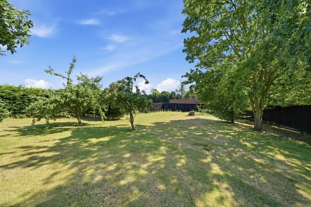 Mill Lane, Edingale, B79, photo 23