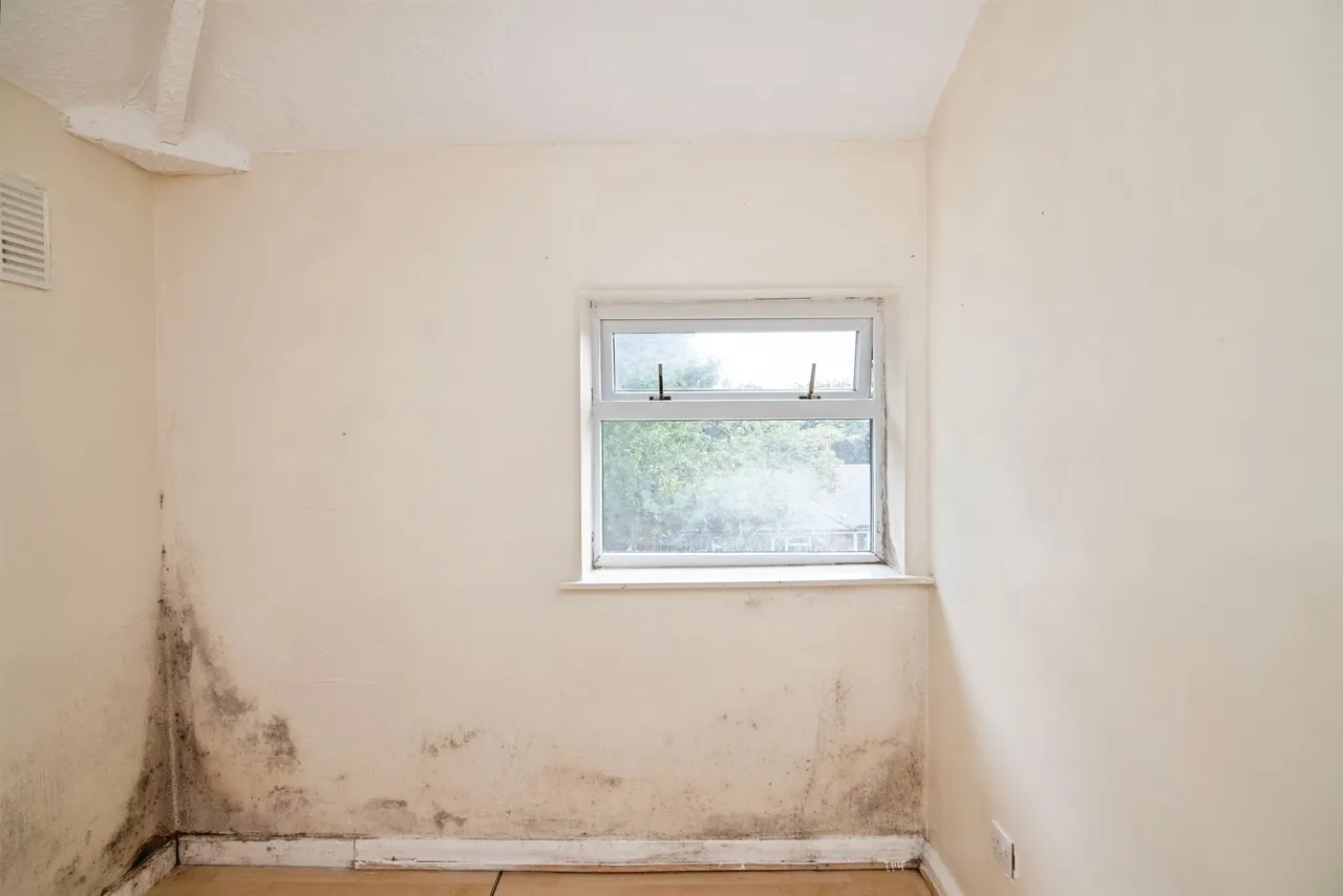 Green Park Road, DUDLEY, photo 9