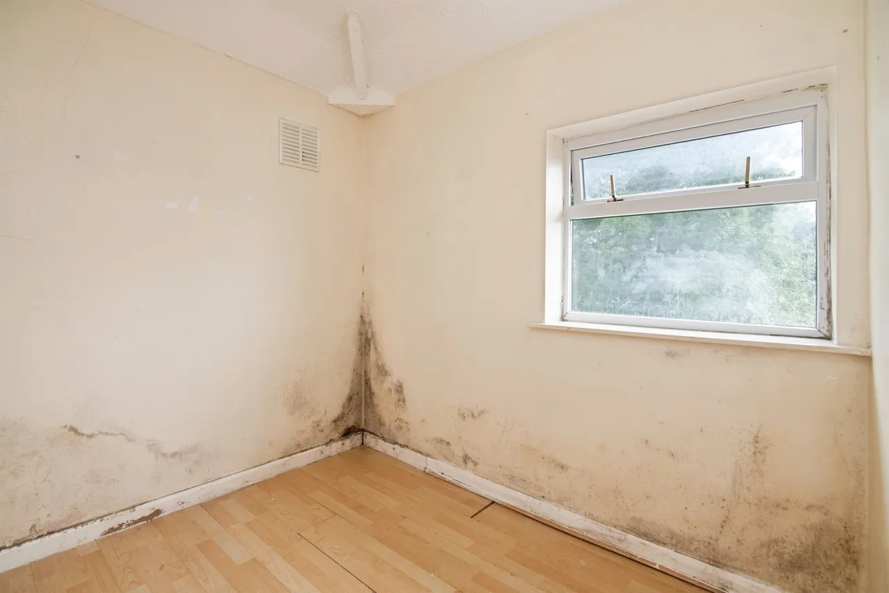 Green Park Road, DUDLEY, photo 8