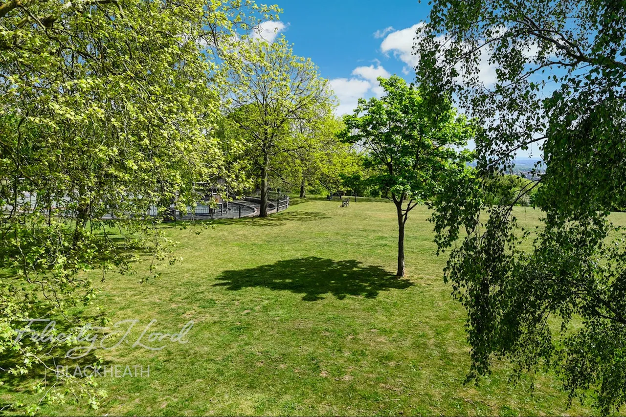 Cleanthus Road, London, photo 20