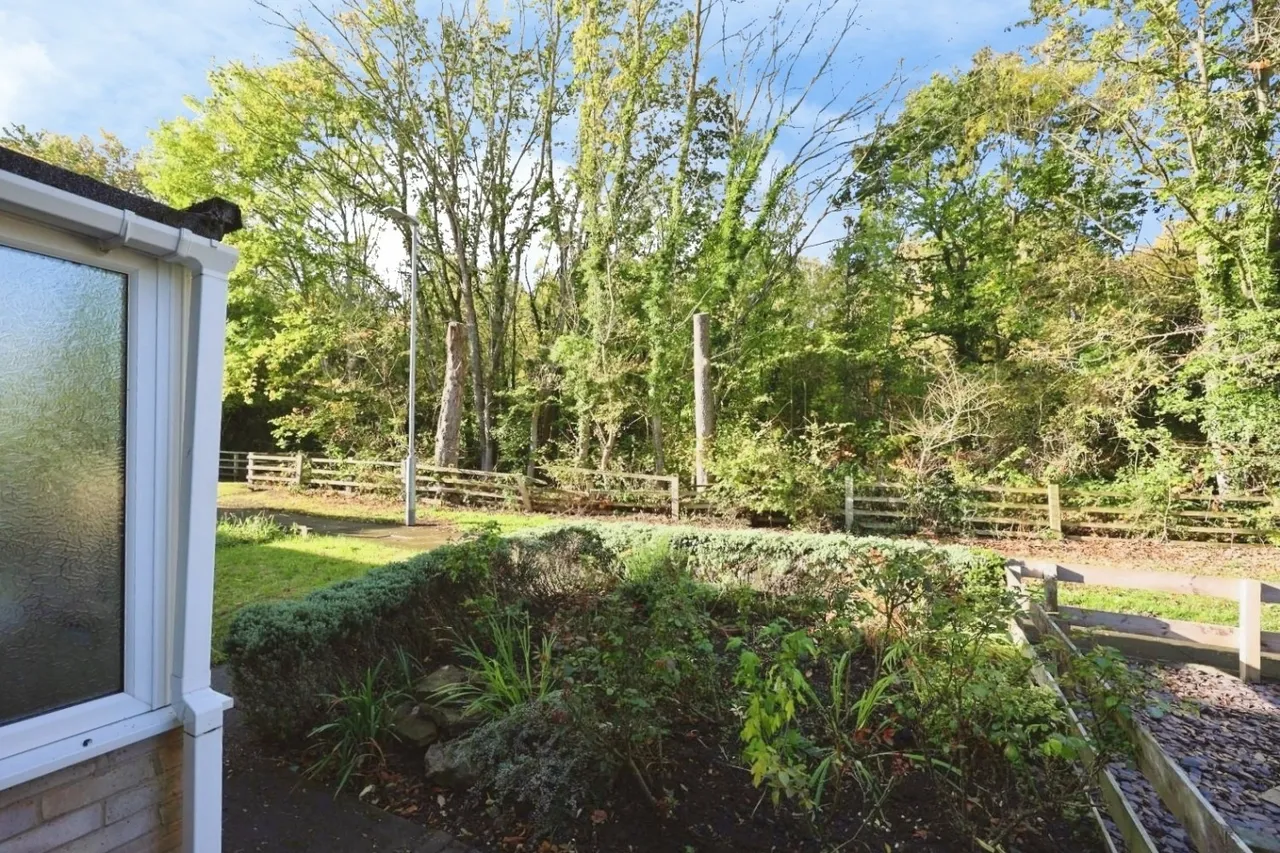 Scargill Drive, DL16, photo 12