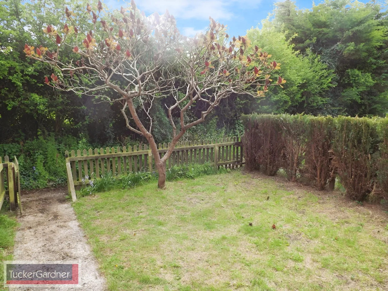 Woburn Place, Duxford, CB22, photo 6
