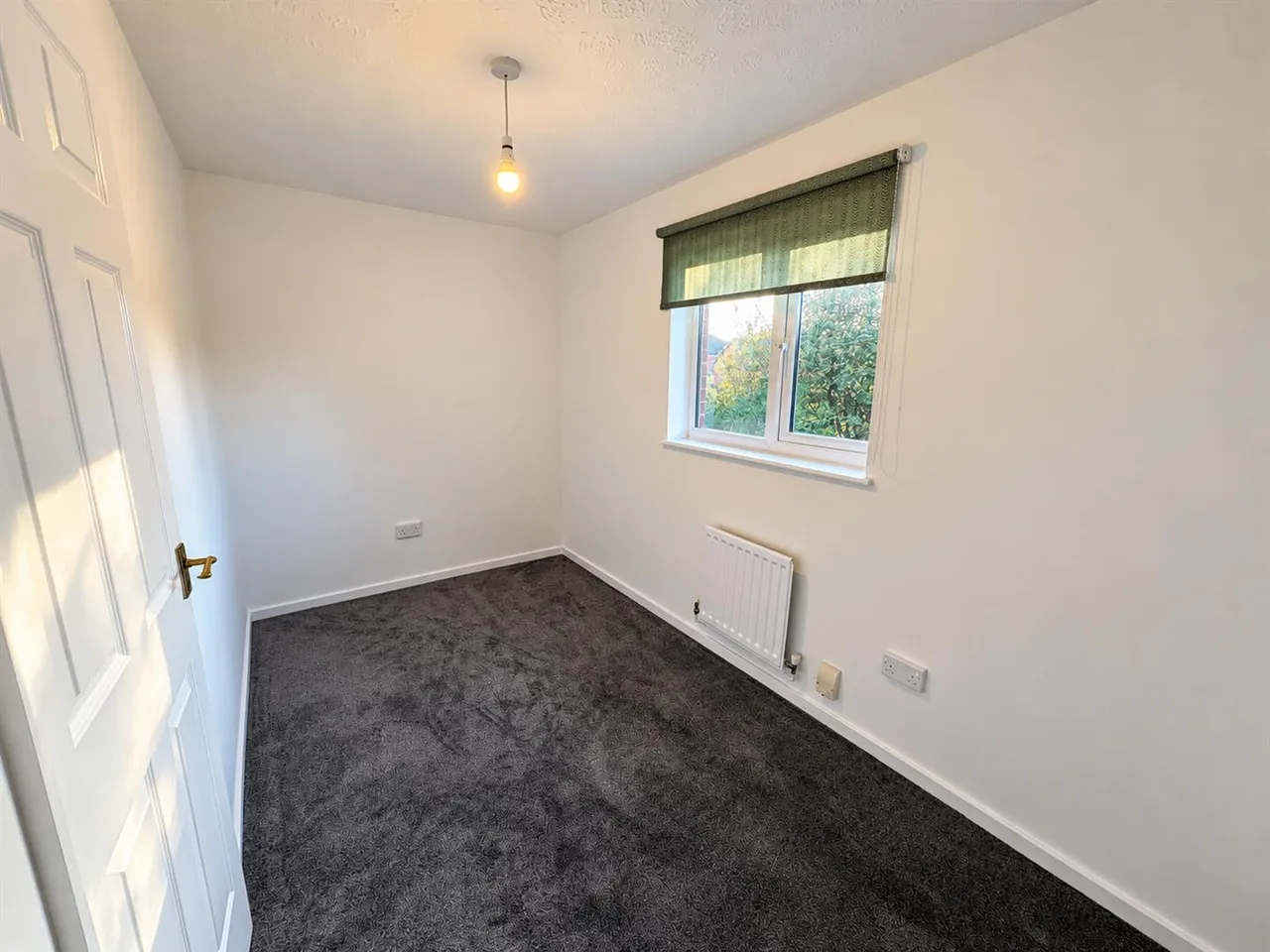 Blackthorn Drive, Nottingham, NG6, photo 8