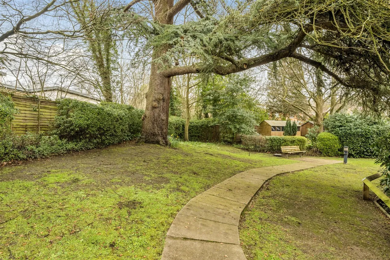 Reading Road, Wokingham, RG41, photo 15