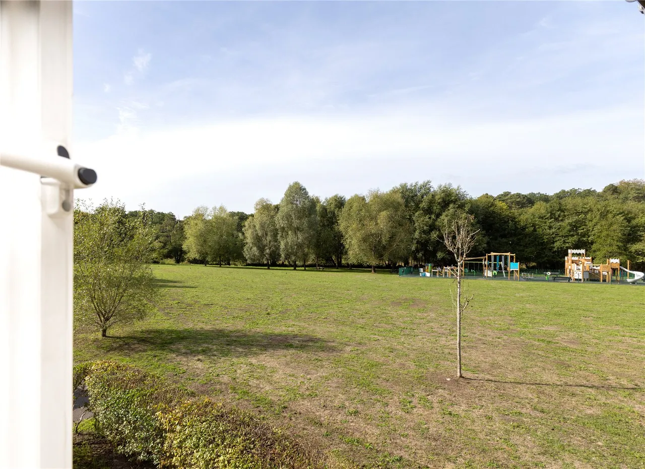 Hawthorn Way, Lindford, GU35, photo 19