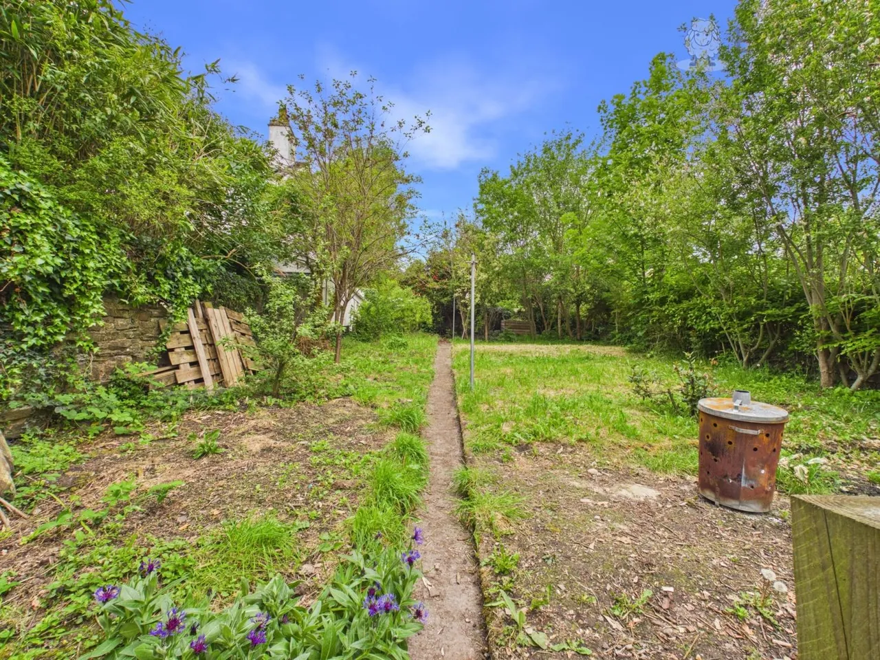 High Street, Bampton, EX16, photo 16