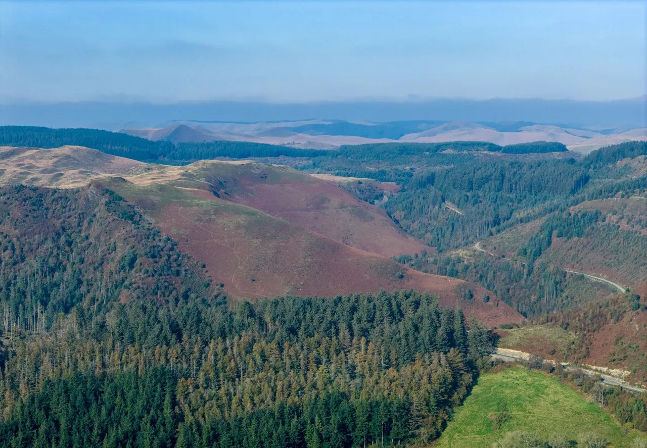 Tirnanog, Cwmbrwyno, SY23, photo 30