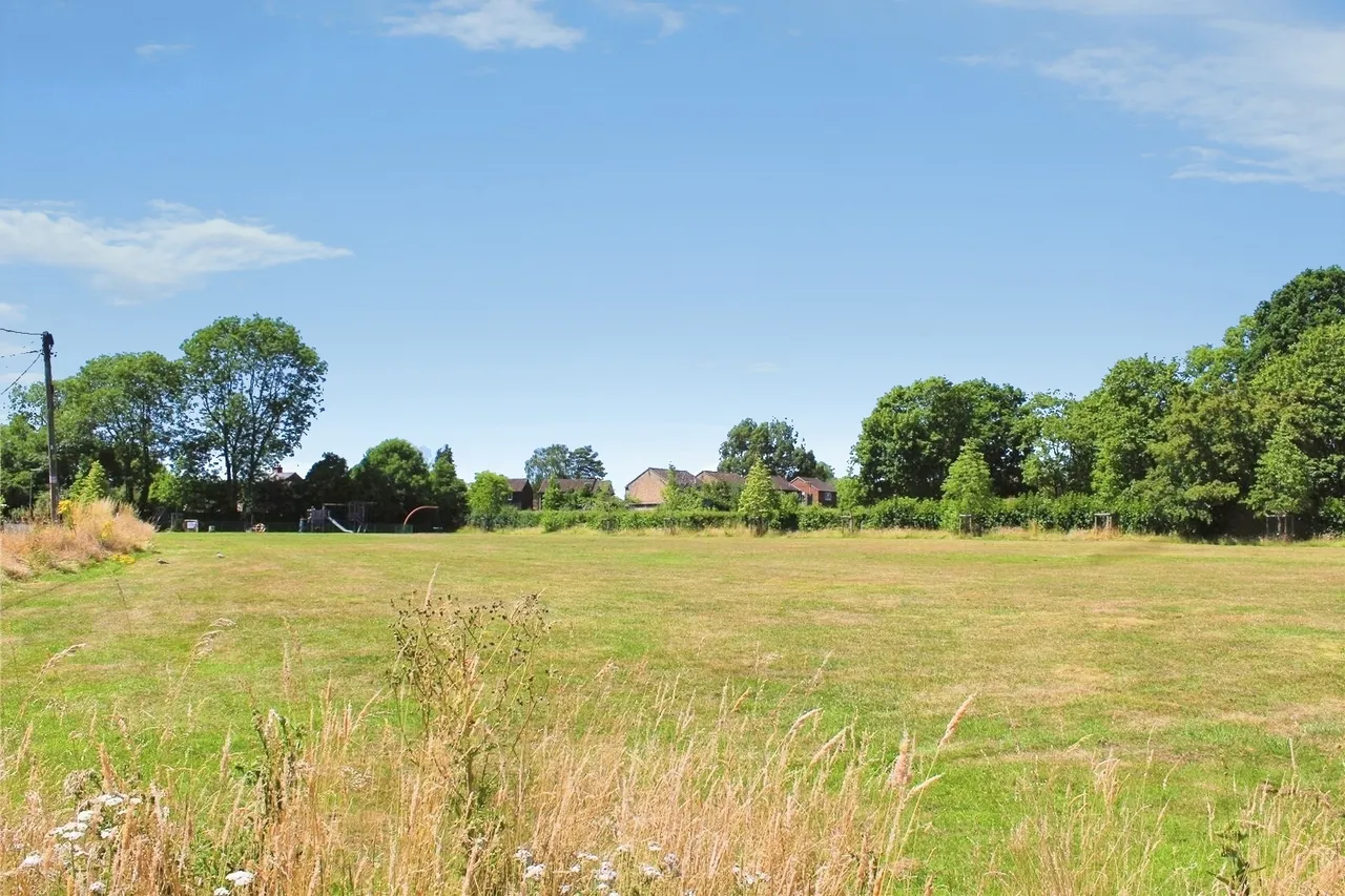 The Green, Badshot Lea, Farnham, Surrey, GU9 9LB, photo 6