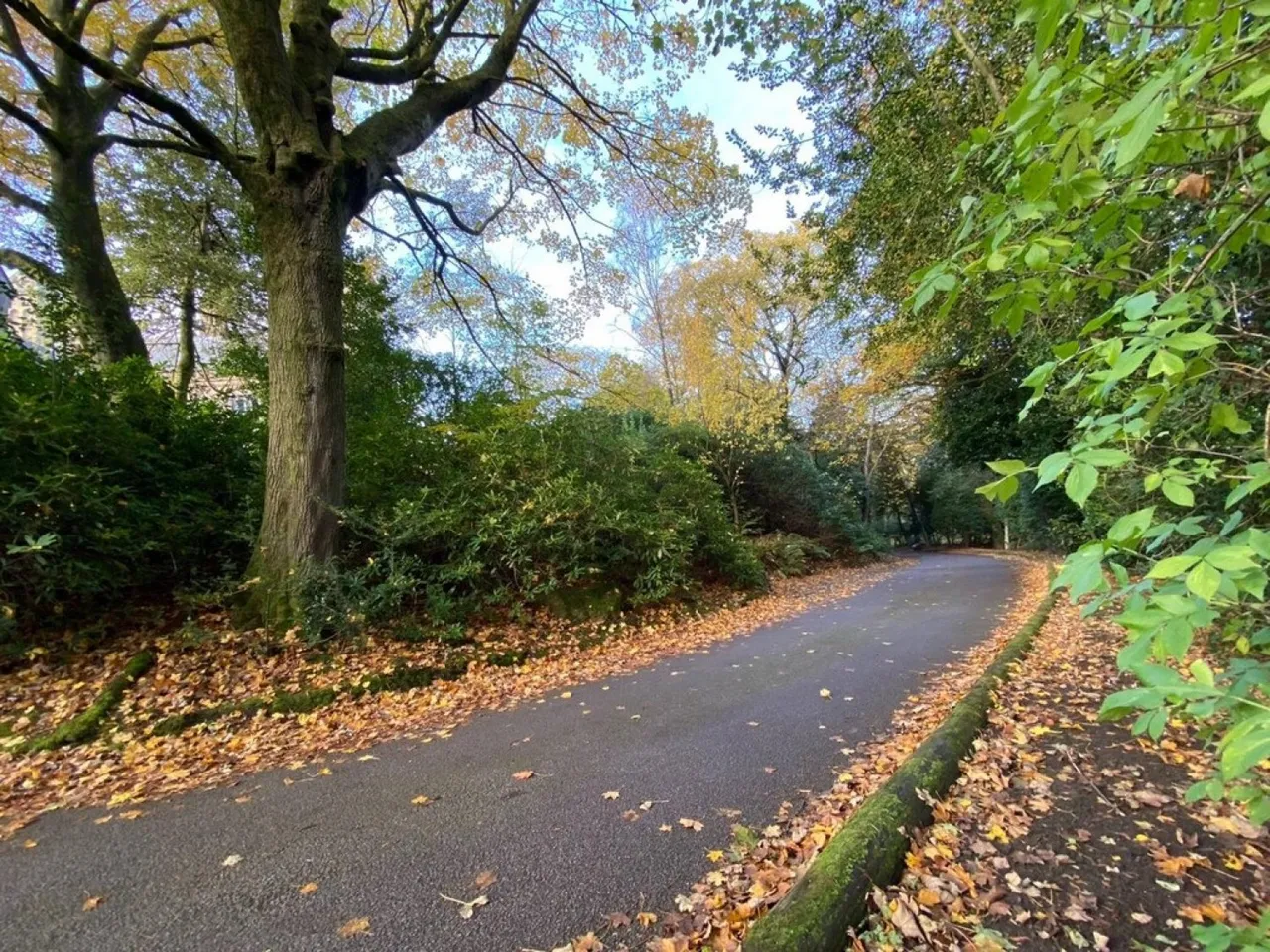 The Woodlands, Meltham, HD9, photo 5