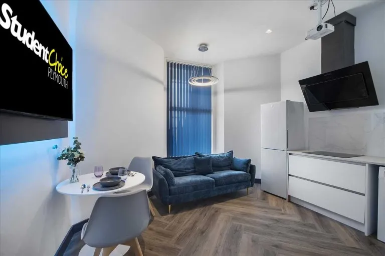 North Road East, Plymouth, PL4, photo 5