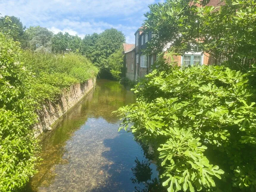 St. Peters Grove, Canterbury, Kent, CT1, photo 10