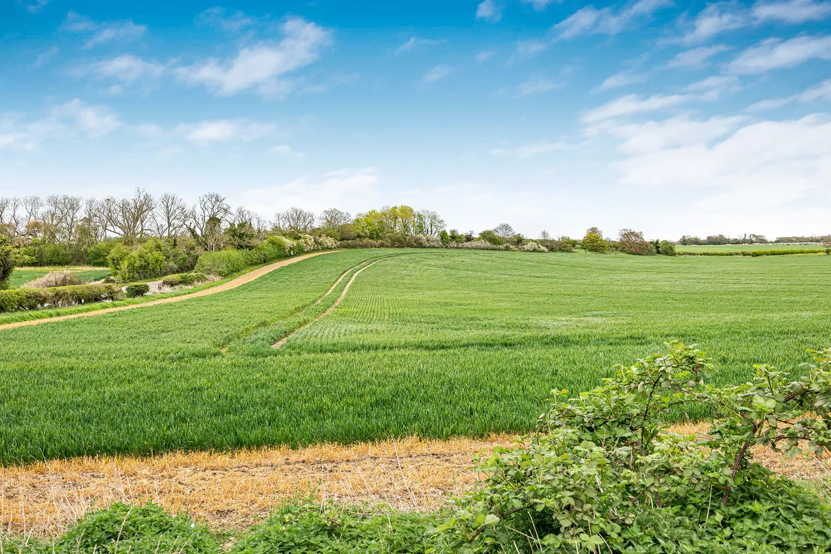 Britwell Road, Ewelme, photo 14
