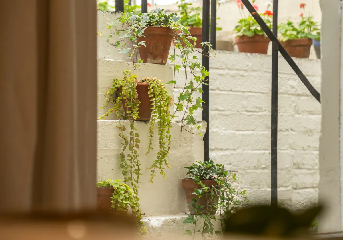 Perfect View & Camden Road, Bath, BA1, photo 21