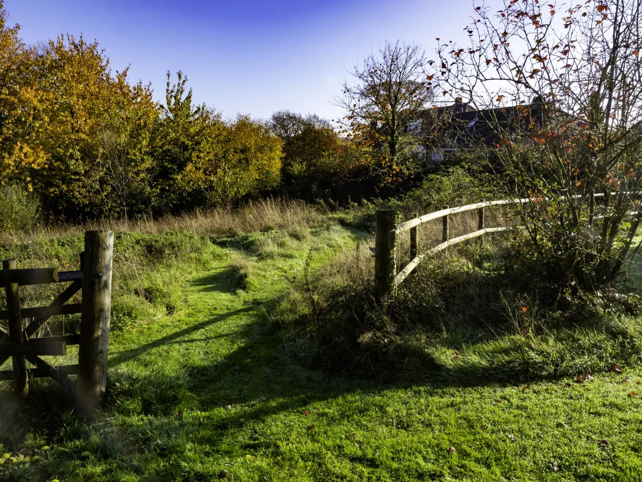 Shells Lane, Colyford, EX24 6QE, photo 21