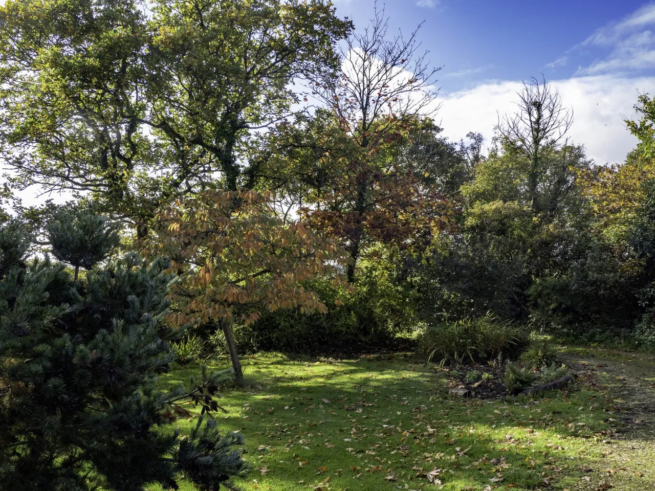 Shells Lane, Colyford, EX24 6QE, photo 17
