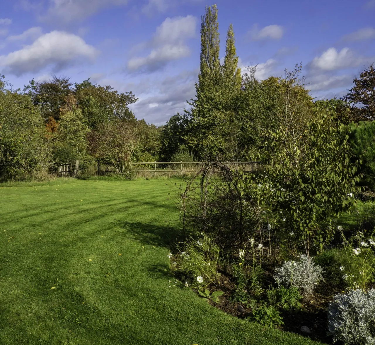 Shells Lane, Colyford, EX24 6QE, photo 15