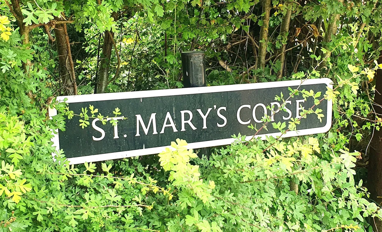 St. Marys Copse, Surrey, St. Marys Road, KT4 7LA, photo 4