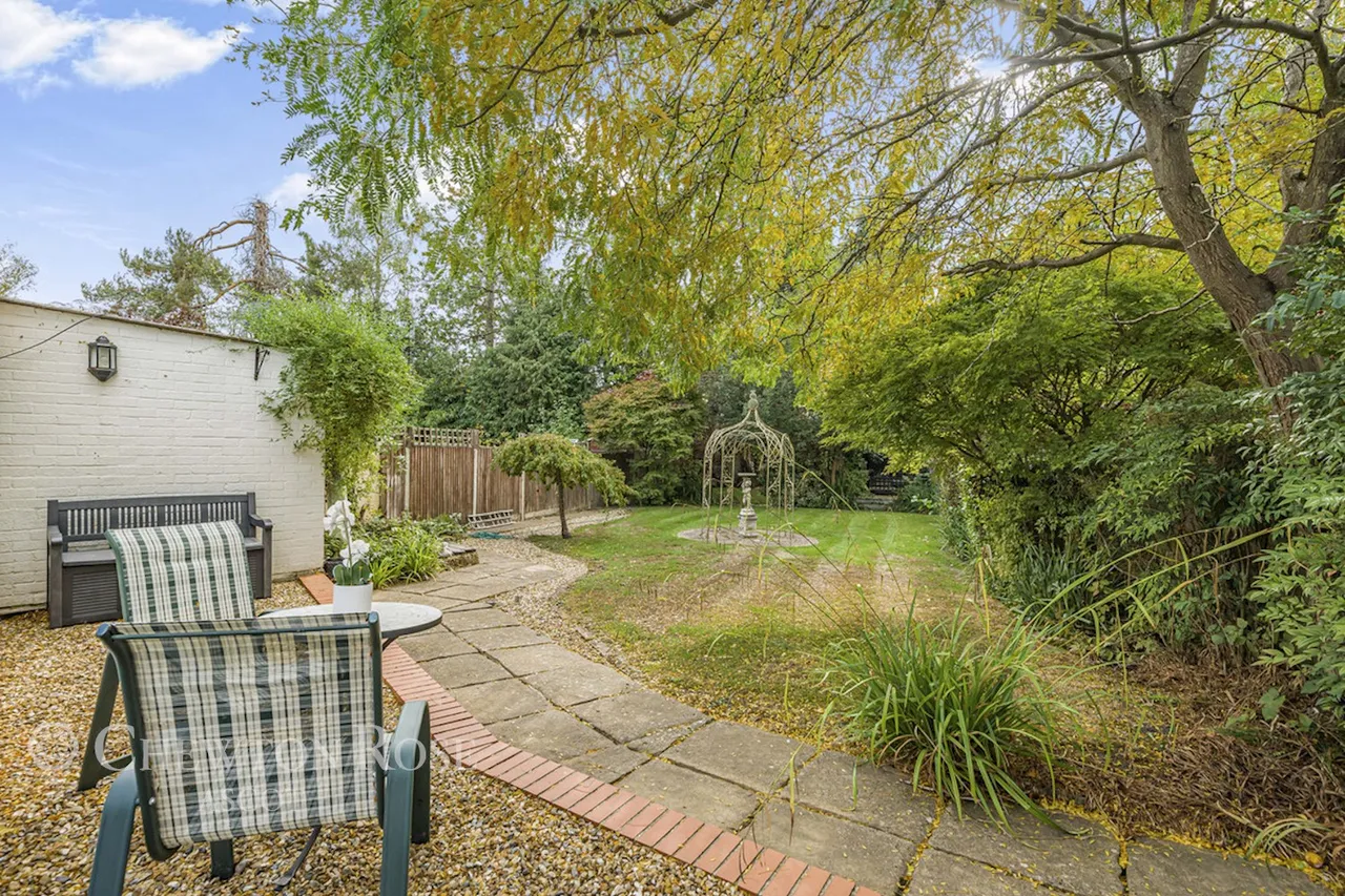 Blackmoor Wood, Ascot, photo 19