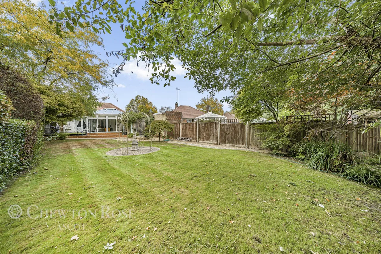 Blackmoor Wood, Ascot, photo 22