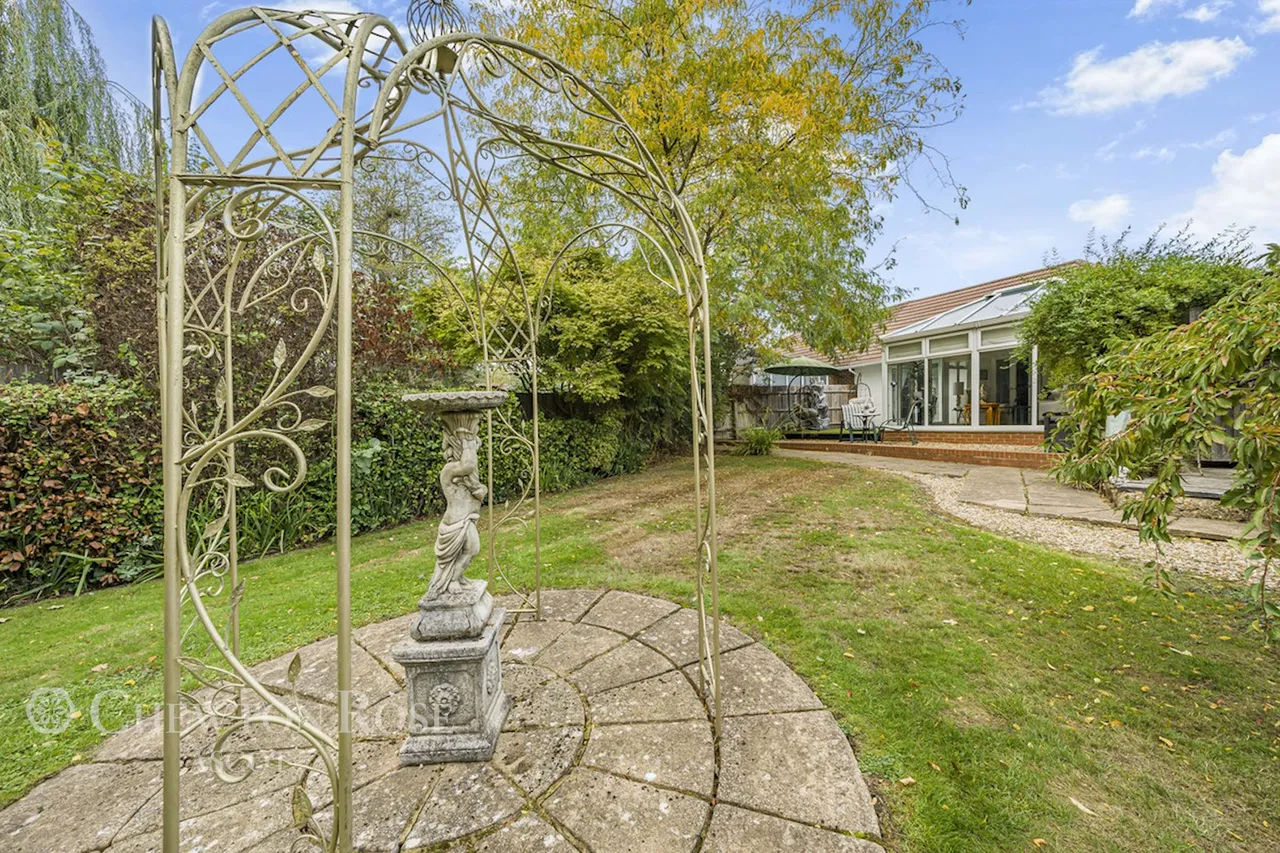 Blackmoor Wood, Ascot, photo 23
