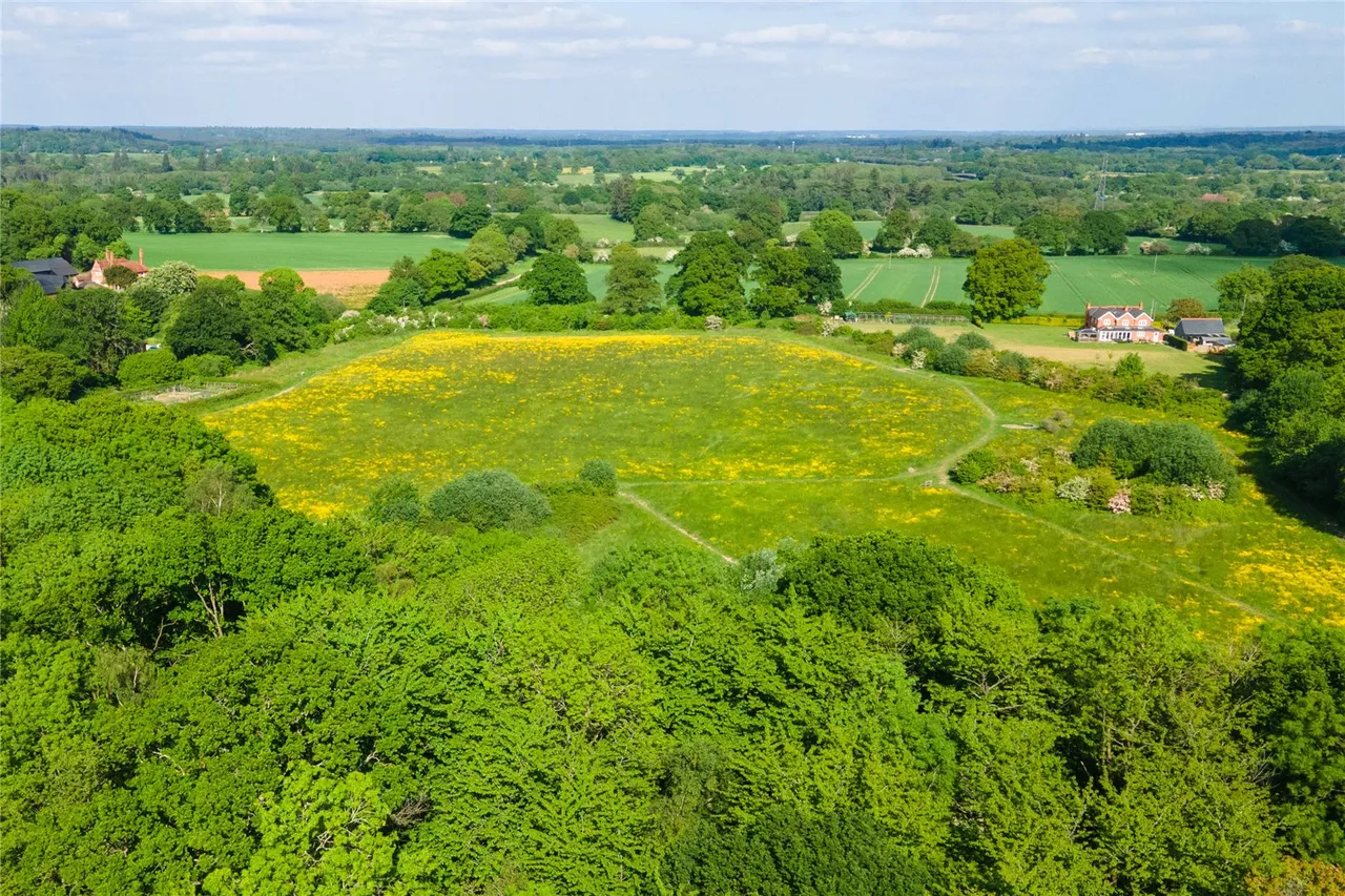 Hatts Close, Hartley Wintney, RG27 8WX, photo 15