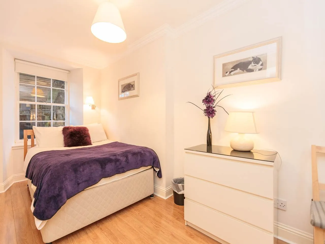 Albany Street, New Town, EH1, photo 11