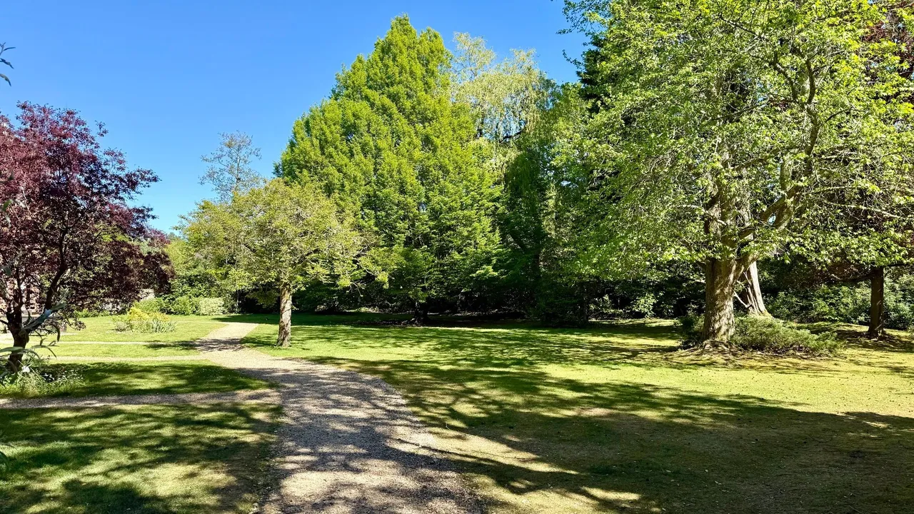 Rhinefield Road, Brockenhurst, SO42, photo 20