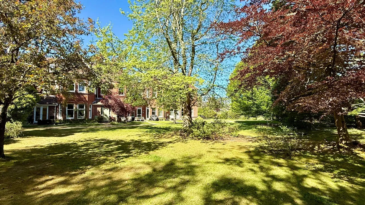 Rhinefield Road, Brockenhurst, SO42, photo 25
