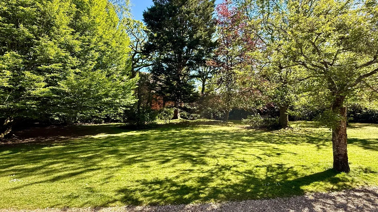 Rhinefield Road, Brockenhurst, SO42, photo 22