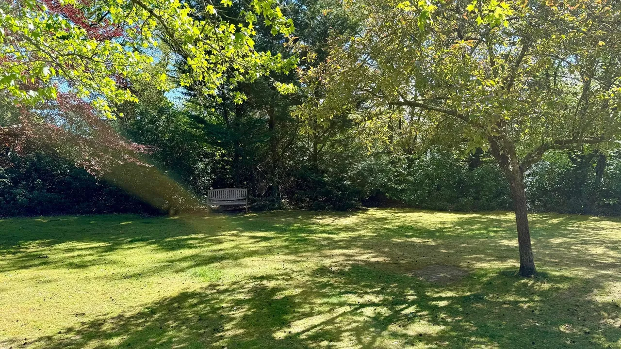 Rhinefield Road, Brockenhurst, SO42, photo 24