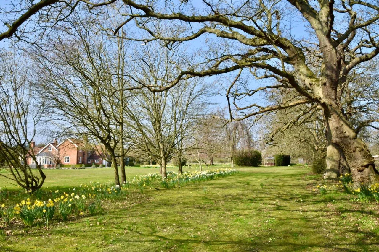 Bullace Lane, Sudbourne, IP12, photo 30