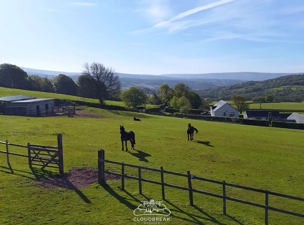 Golden Grove, Carmarthen, SA32, photo 2