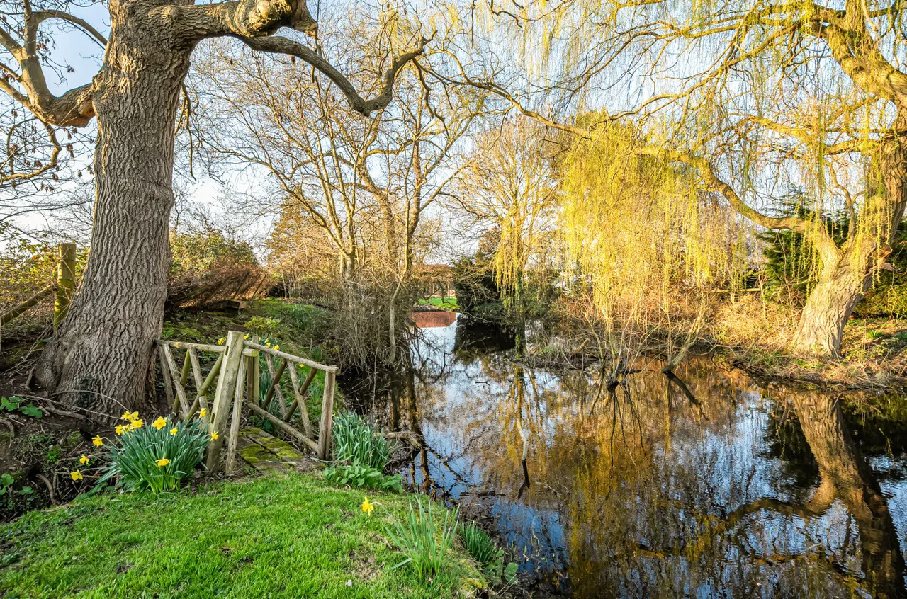 Long Reach, Ockham, GU23, photo 30