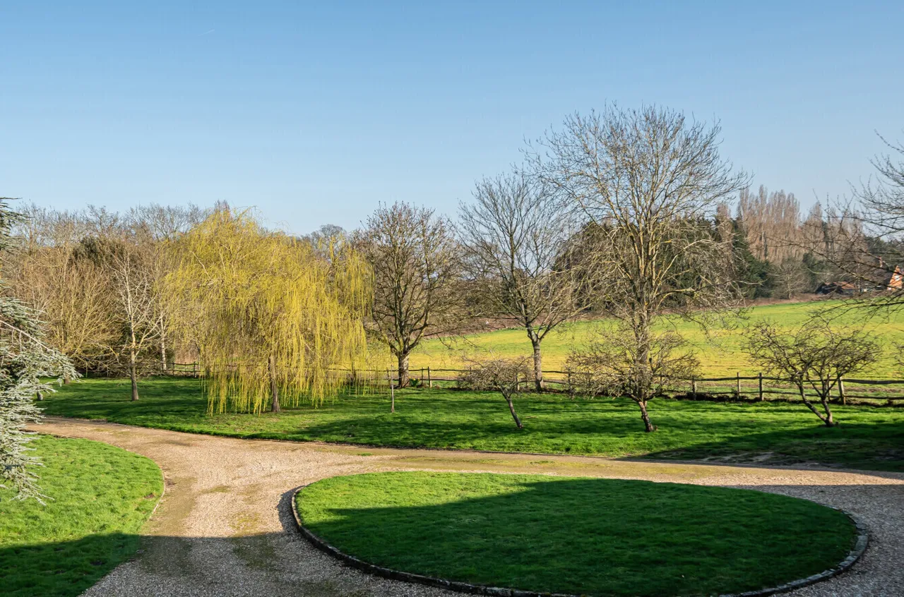 Long Reach, Ockham, GU23, photo 25