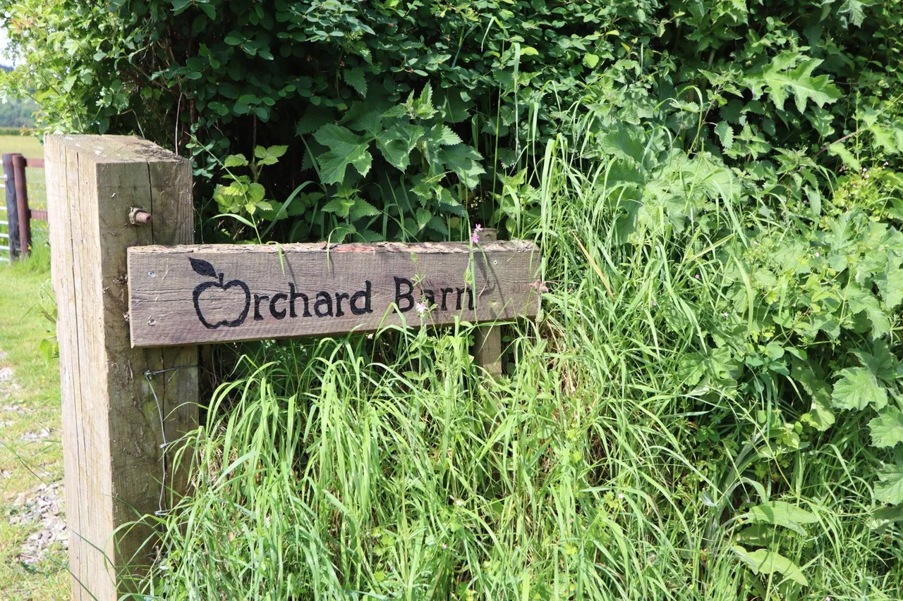 Buckland St. Mary, Taunton, photo 19