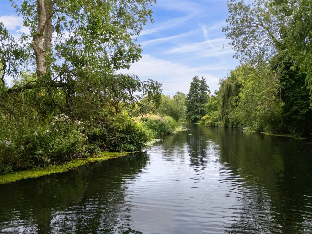 Ditchingham Dam, Ditchingham, NR35, photo 20