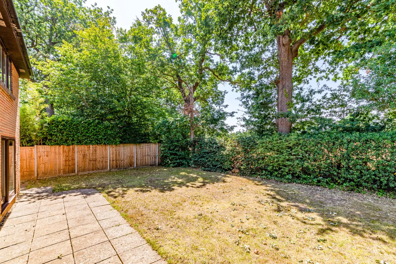 Squirrel Wood, West Byfleet, KT14, photo 4