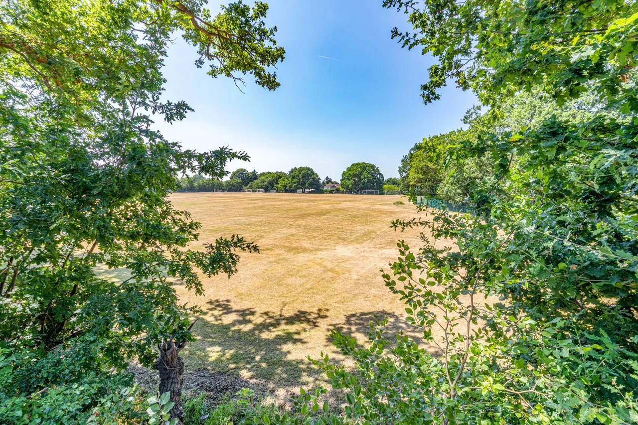 Squirrel Wood, West Byfleet, KT14, photo 19