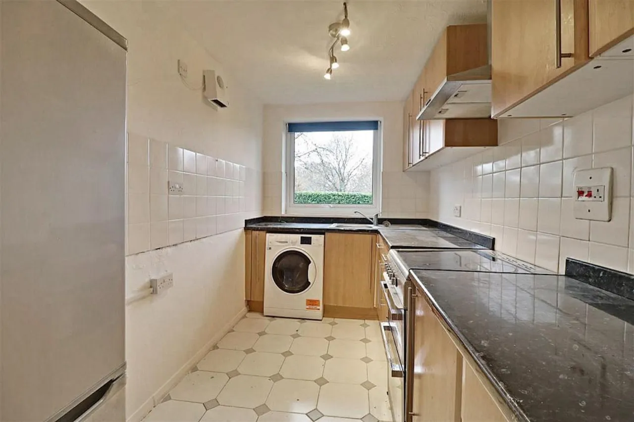 Hollybush Hill, Snaresbrook, E11, photo 15